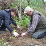 1000 drzew na minutę: akcja Nadleśnictwa Lutowiska