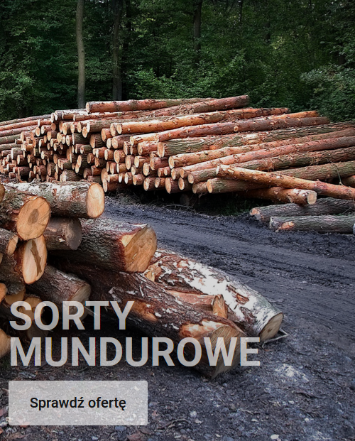 Sorty Mundurowe